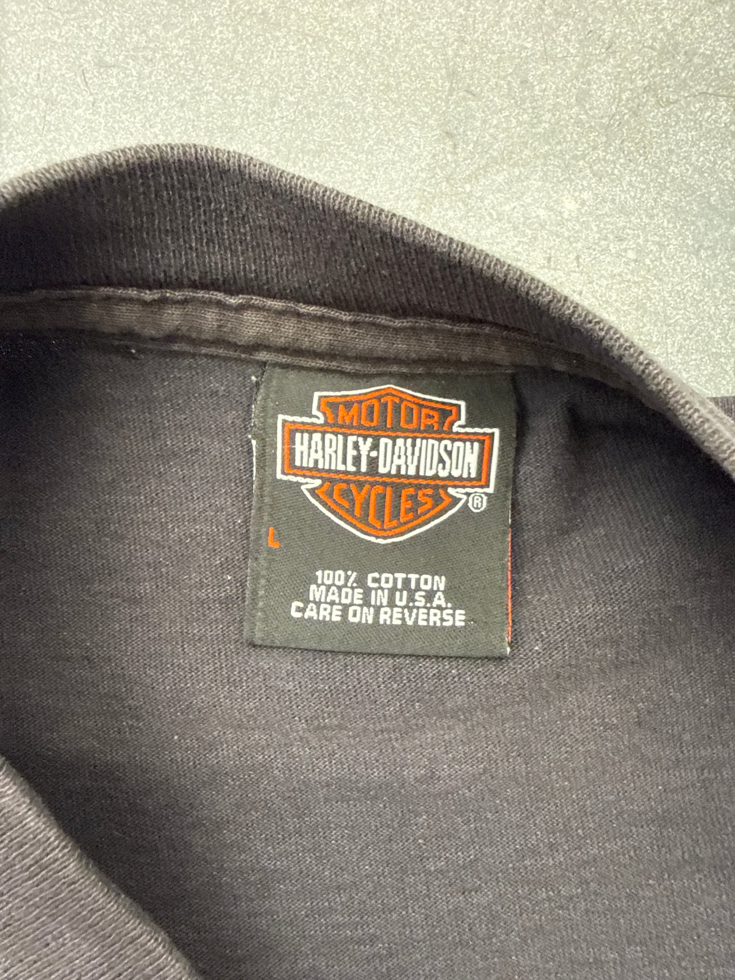 2003 HARLEY-DAVIDSON BOSTON, MASSACHUSETTS SPIDER WEB SLEEVE LS MULLET TEE