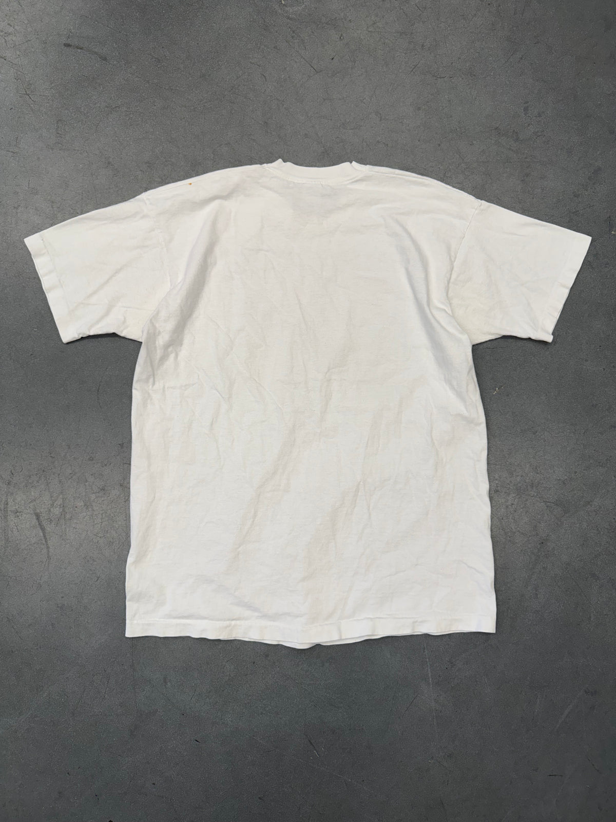 KANSAS CITY '93 NATIONAL SCIENCE TEACHERS ASSOCIATION FRACTAL TEE (FOTL TAG)