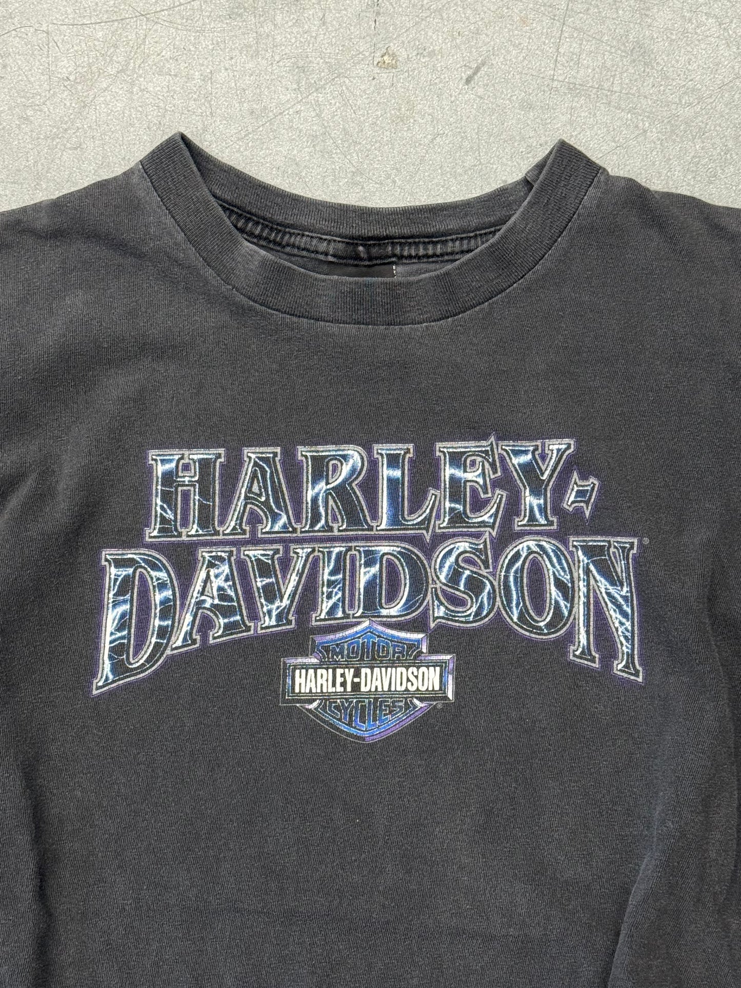 90S HARLEY-DAVIDSON LIGHTNING LETTERS RAY PRICE RALEIGH, NC TEE