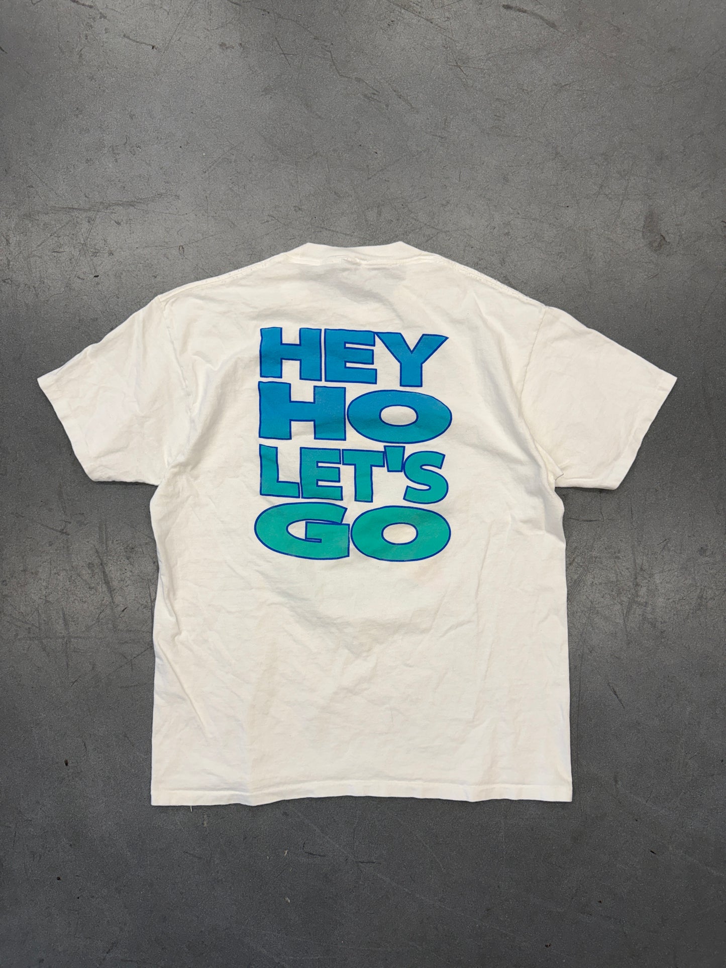 1995 RAMONES SURFING "GABBA GABBA HEY" "HEY HO LET'S GO" TEE (ANVIL TAG)