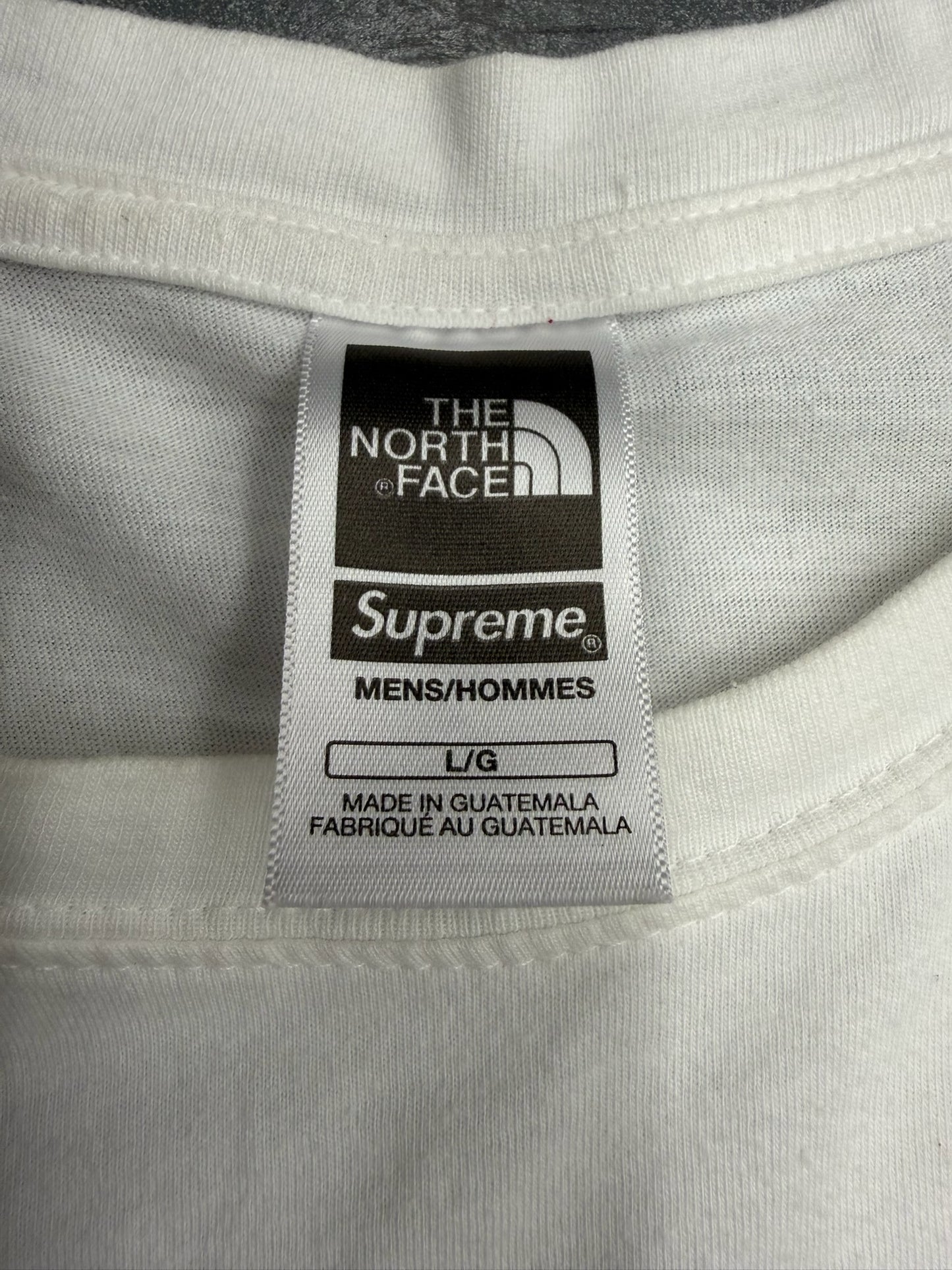 SS22 SUPREME THE NORTH FACE BANDANA TEE - WHITE