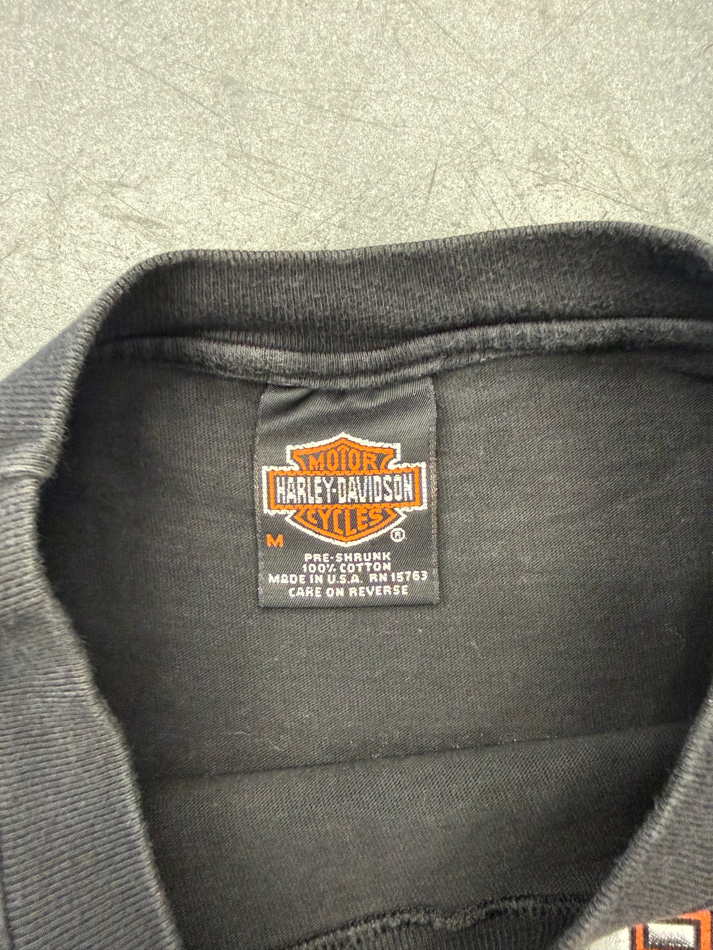 1995 HARLEY-DAVIDSON BENSON MUNCIE, INDIANA FLAME SLEEVE LS TEE