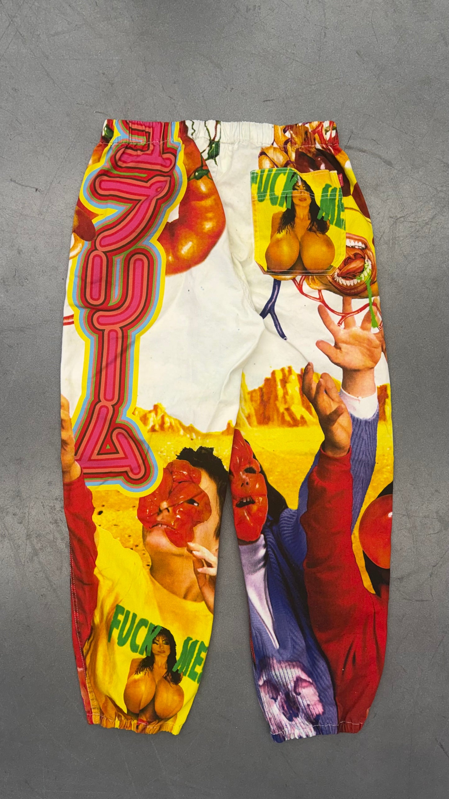 SS19 SUPREME SEKINTANI LA NORIHIRO SKATE PANTS - MULTICOLOR