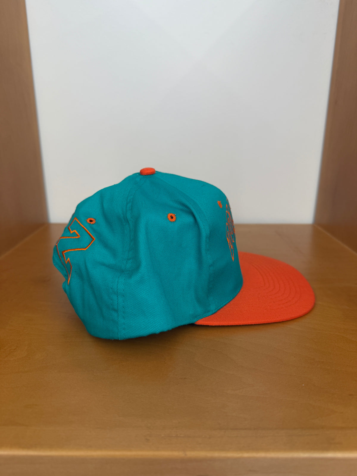 1993 MIAMI DOLPHINS TAZ SNAPBACK HAT (LOONEY TUNES TAG)