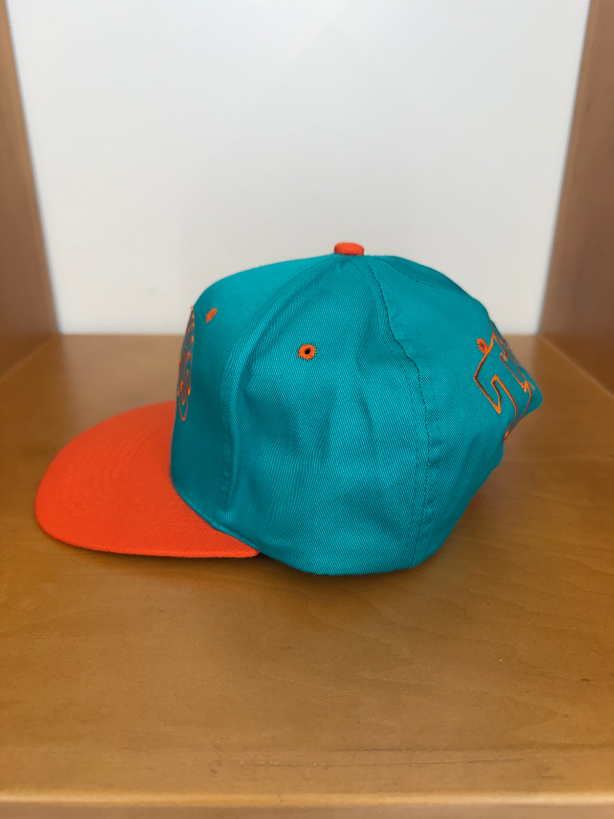 1993 MIAMI DOLPHINS TAZ SNAPBACK HAT (LOONEY TUNES TAG)