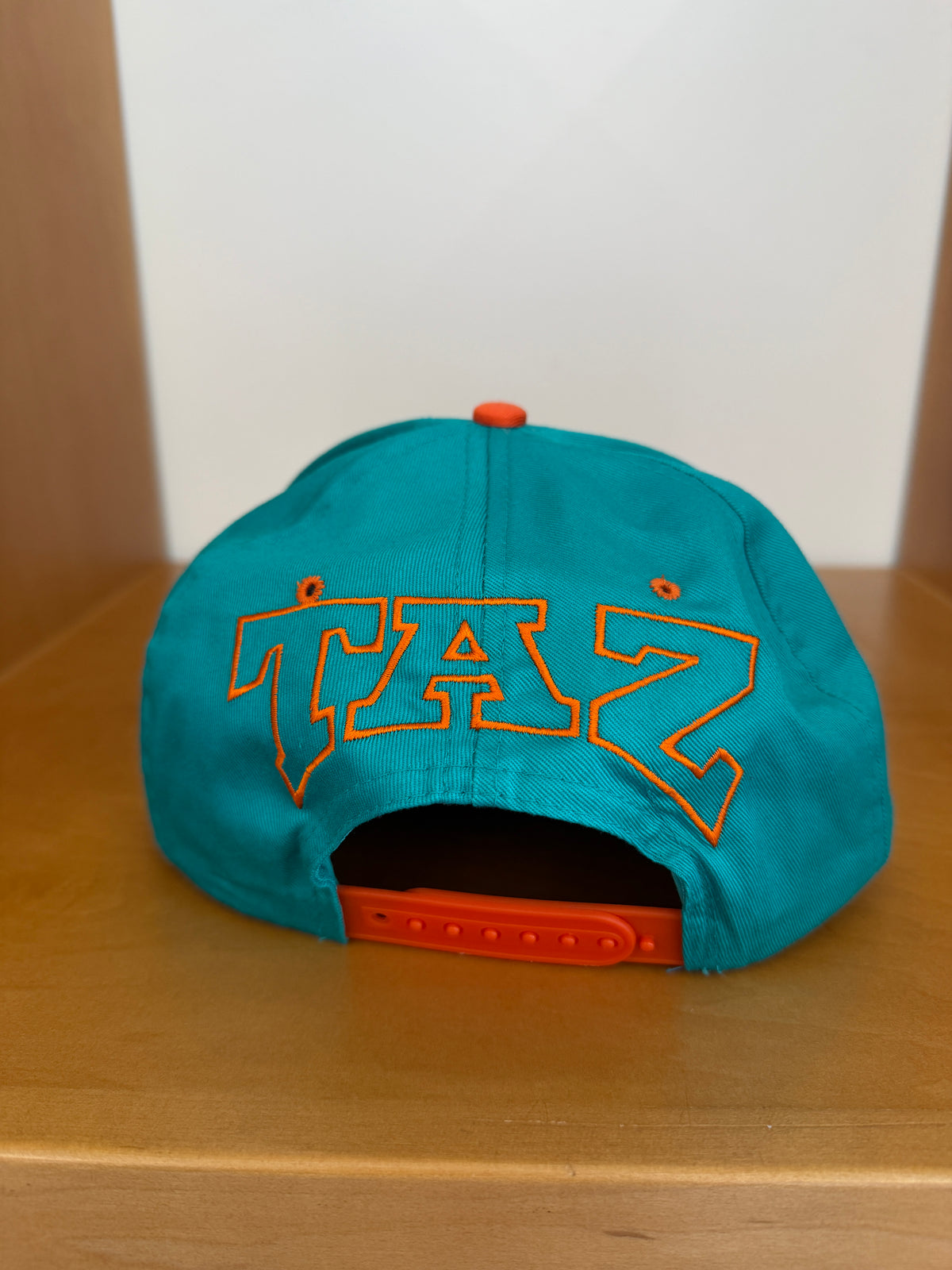 1993 MIAMI DOLPHINS TAZ SNAPBACK HAT (LOONEY TUNES TAG)