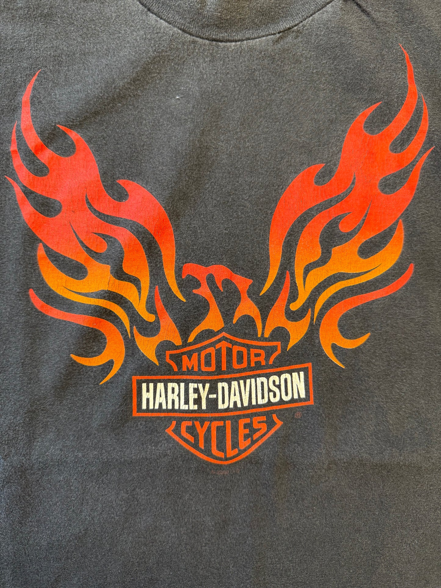 1997 HARLEY-DAVIDSON BUFFALO NEW YORK (HARLEY TAG)