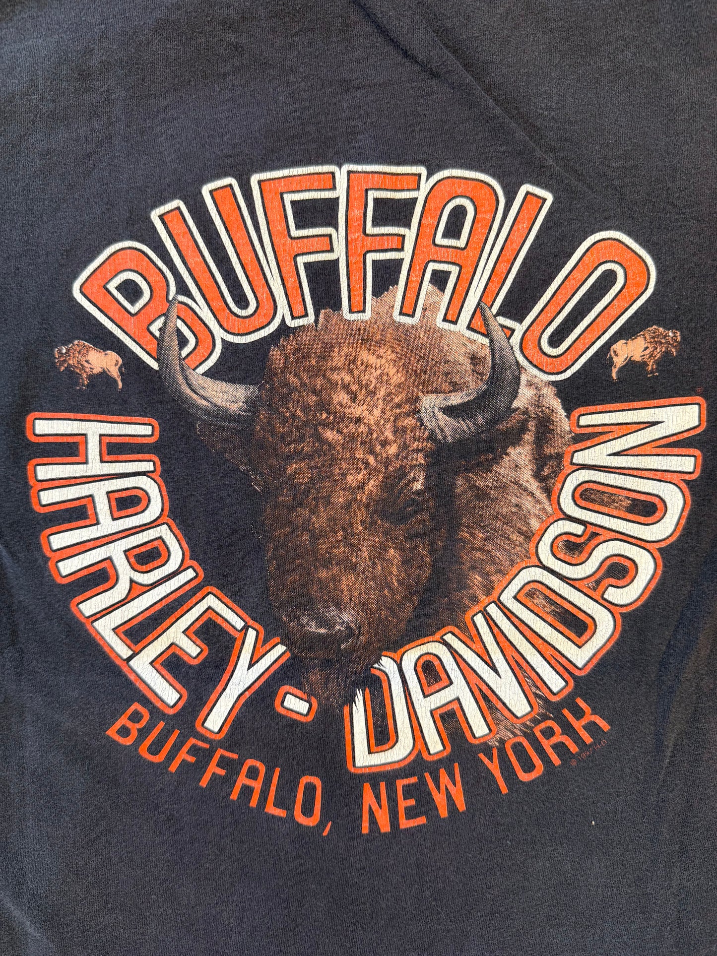 1997 HARLEY-DAVIDSON BUFFALO NEW YORK (HARLEY TAG)