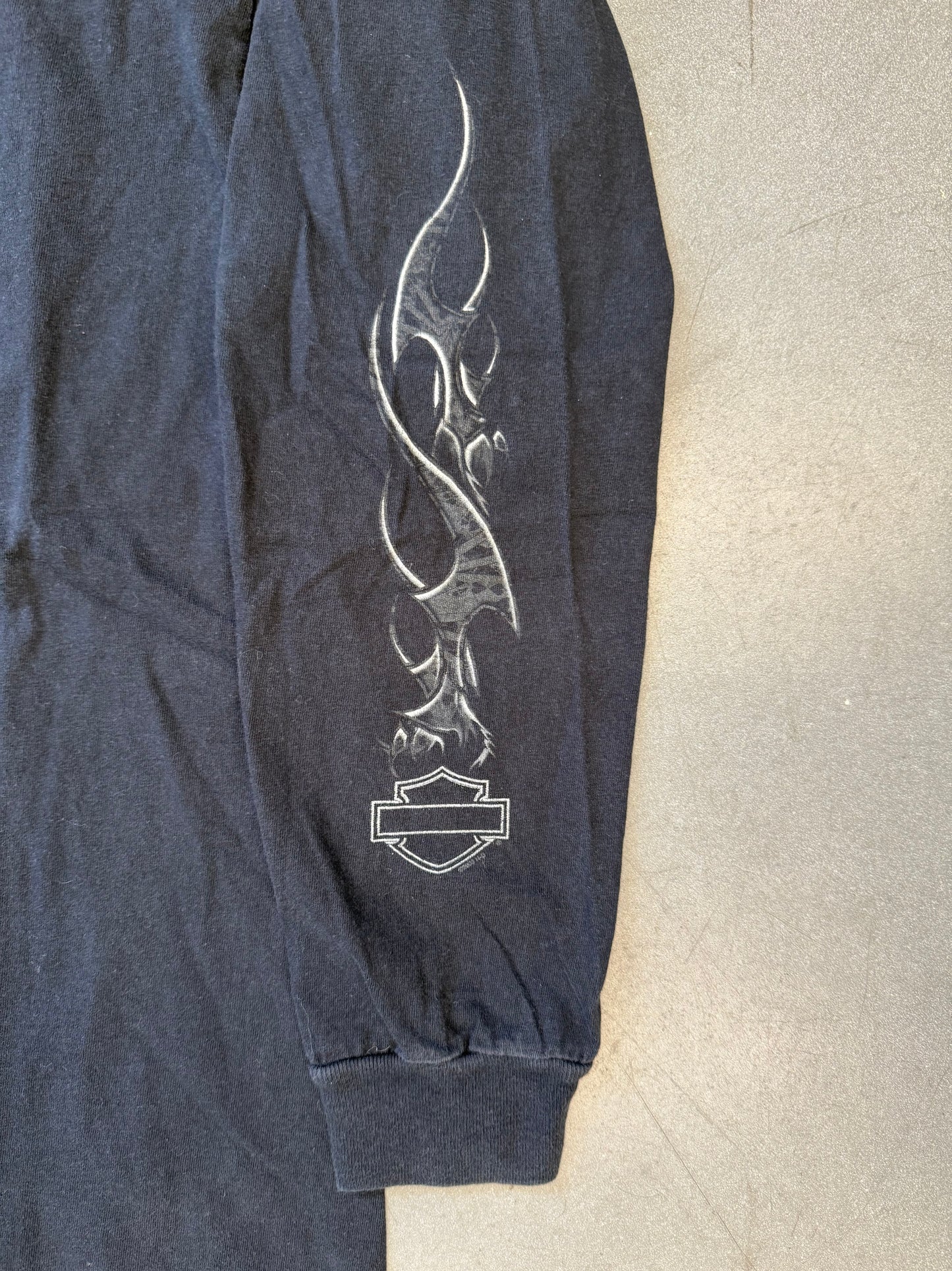 2004 HARLEY-DAVIDSON REVOLUTIONARY WILLIAMSBURG,VA LS (CUT TAG)