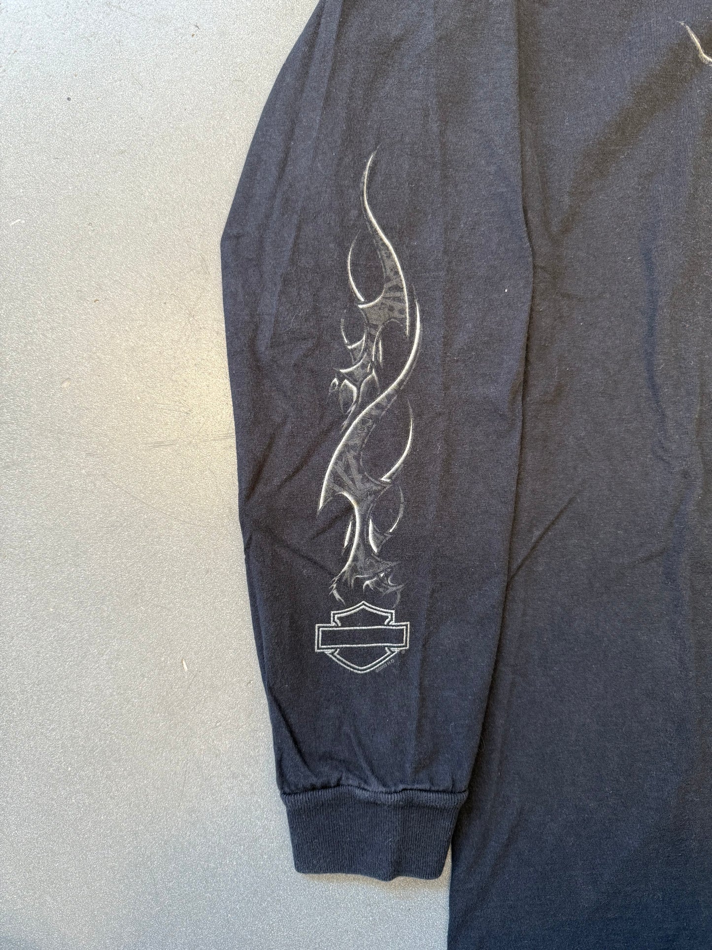 2004 HARLEY-DAVIDSON REVOLUTIONARY WILLIAMSBURG,VA LS (CUT TAG)